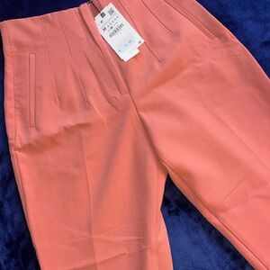Zara High Waisted Pink Pants
